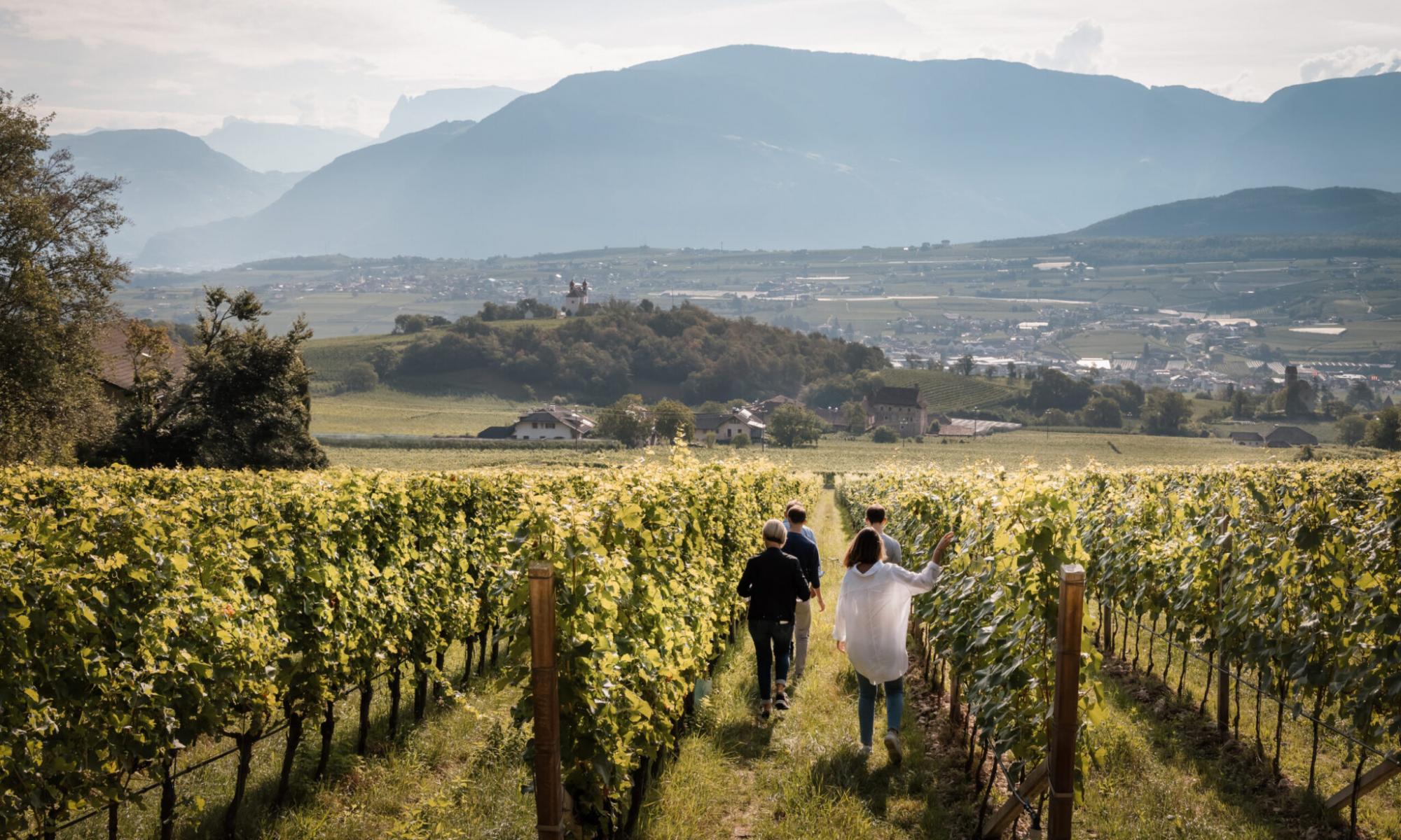 Weingut Ignaz Niedrist